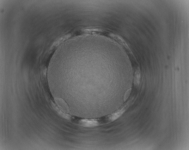 X0000085270477200703091356