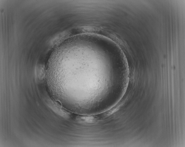 X0000085270478200703091356