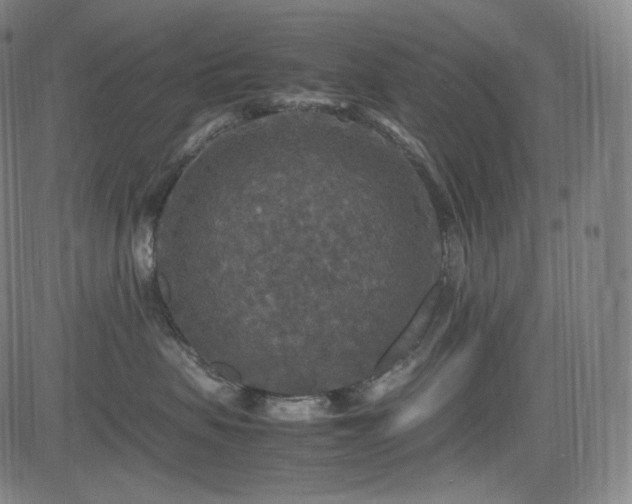 X0000085270479200703091356