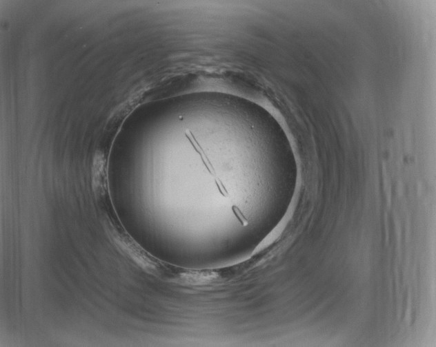 X0000085270480200703091356