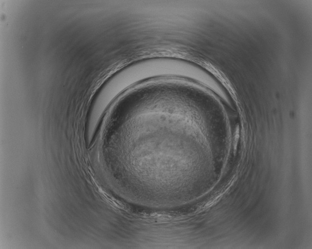 X0000085270481200703091356