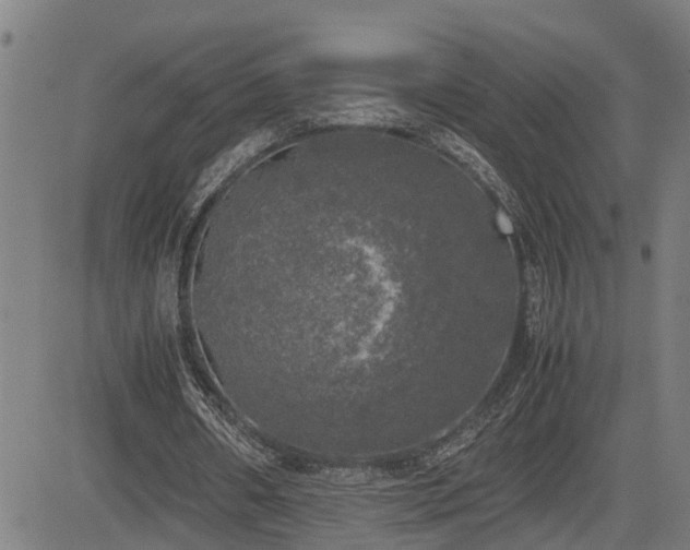 X0000085270482200703091356