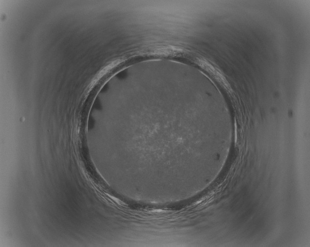 X0000085270483200703091356