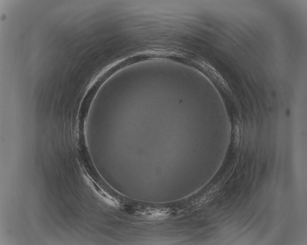 X0000085270484200703091356