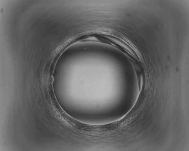 X0000085270485200703091356