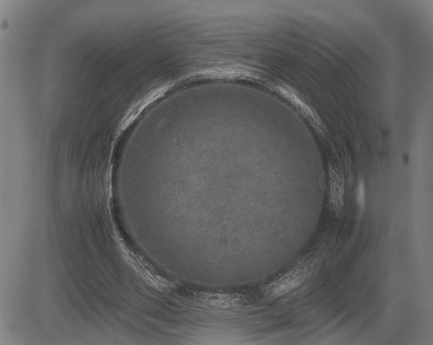 X0000085270486200703091356