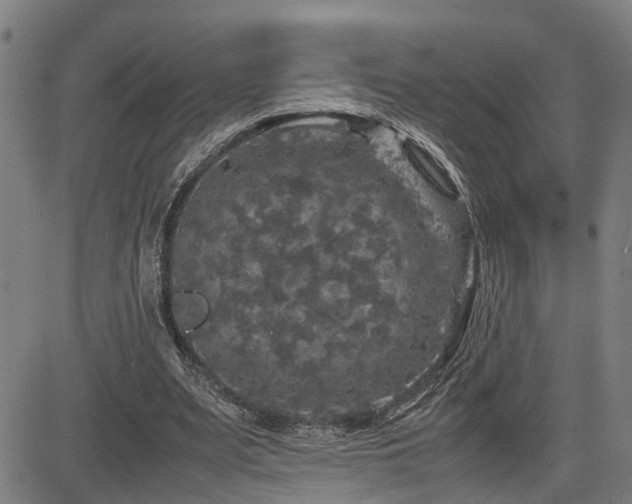 X0000085270487200703091356