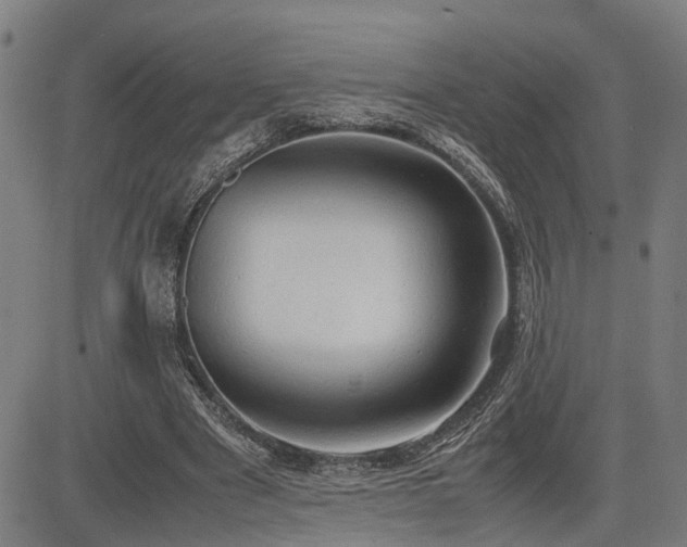 X0000085270489200703091356