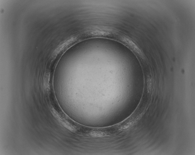 X0000085270490200703091355