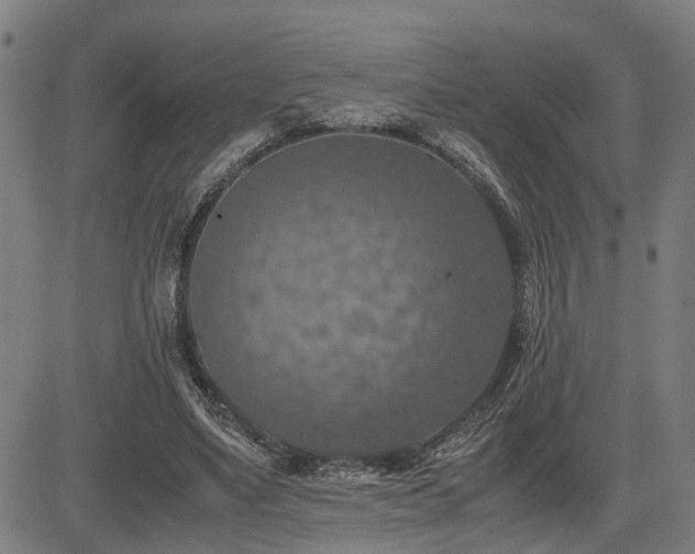 X0000085270491200703091355