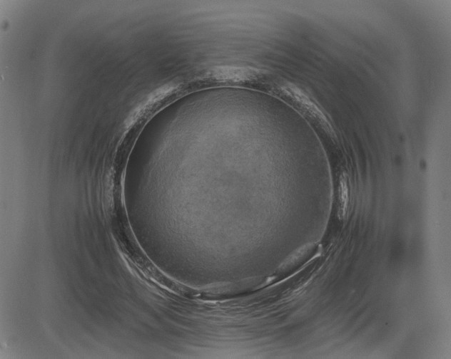 X0000085270492200703091355