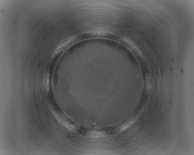 X0000085270494200703091355