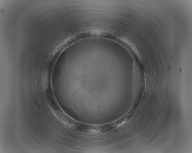 X0000085270496200703091355