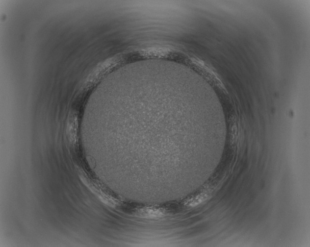 X0000085270498200703091355