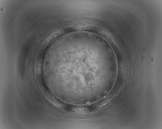 X0000085270499200703091355