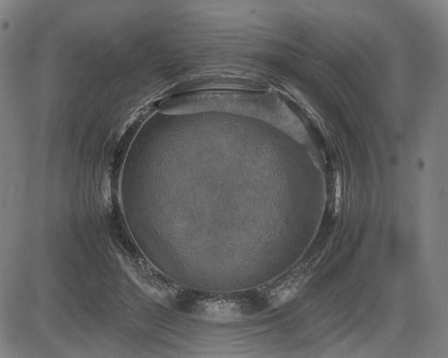 X0000085270500200703091355