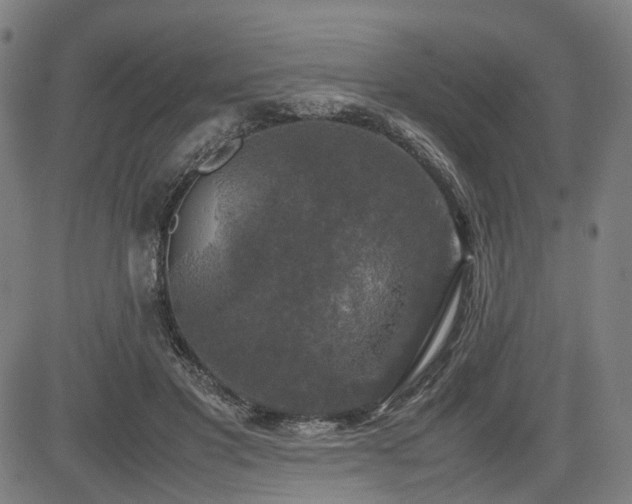 X0000085270501200703091355