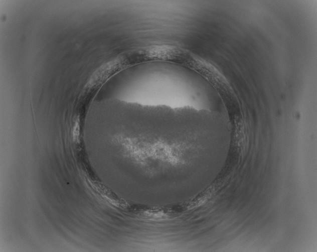 X0000085270502200703091355