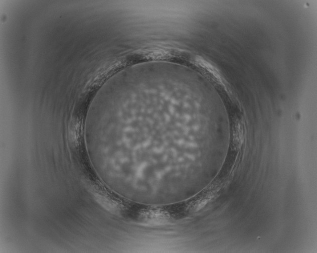 X0000085270503200703091355