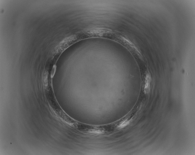 X0000085270504200703091355