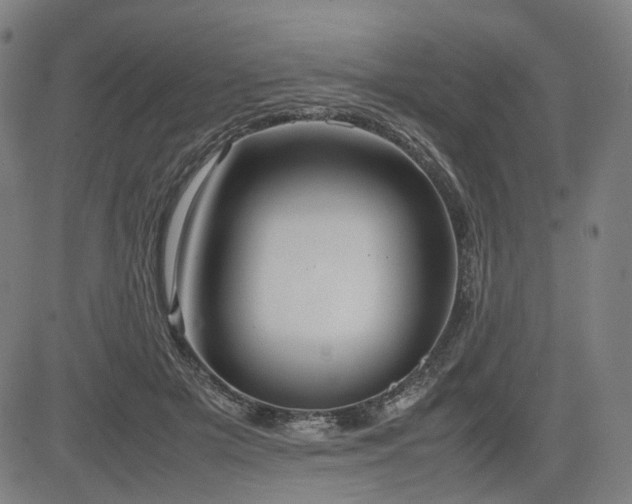 X0000085270505200703091355