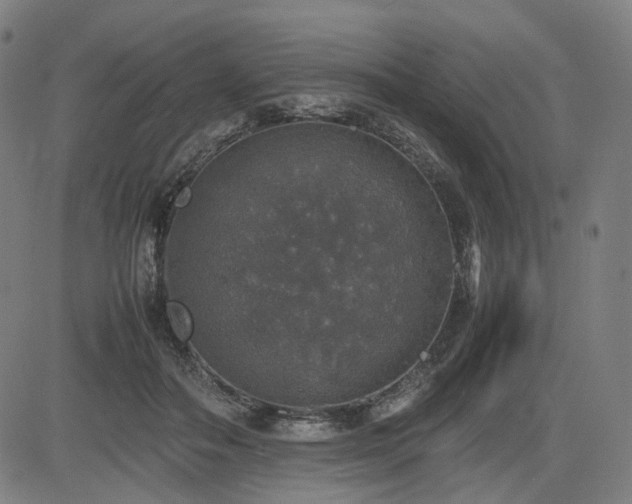 X0000085270506200703091355