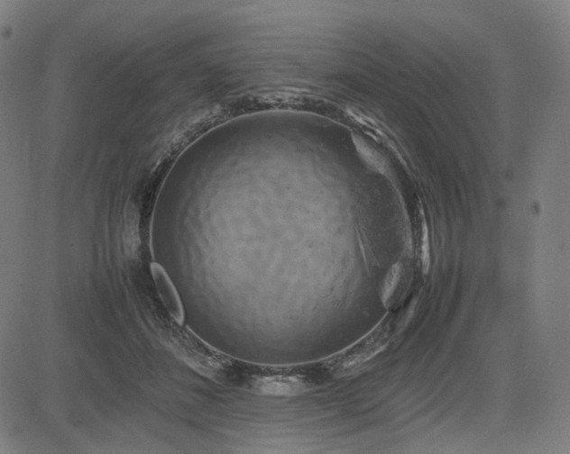 X0000085270508200703091355