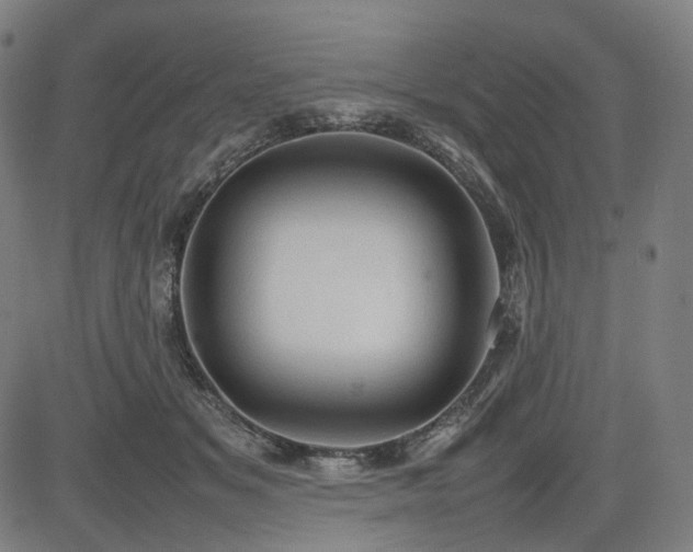 X0000085270509200703091355