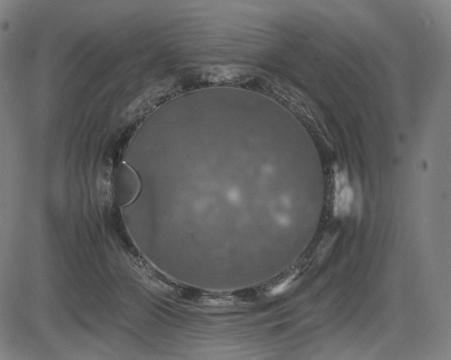 X0000085270510200703091355