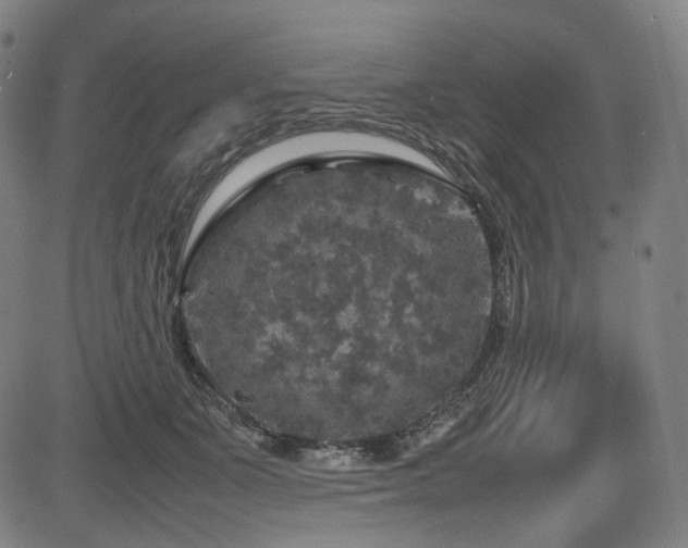 X0000085270511200703091355