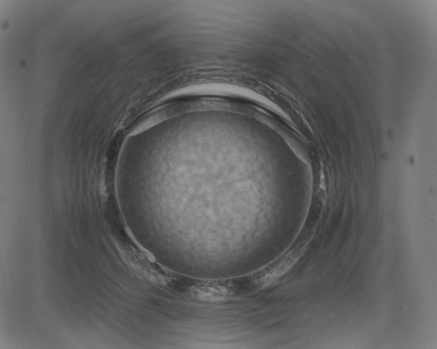 X0000085270512200703091355