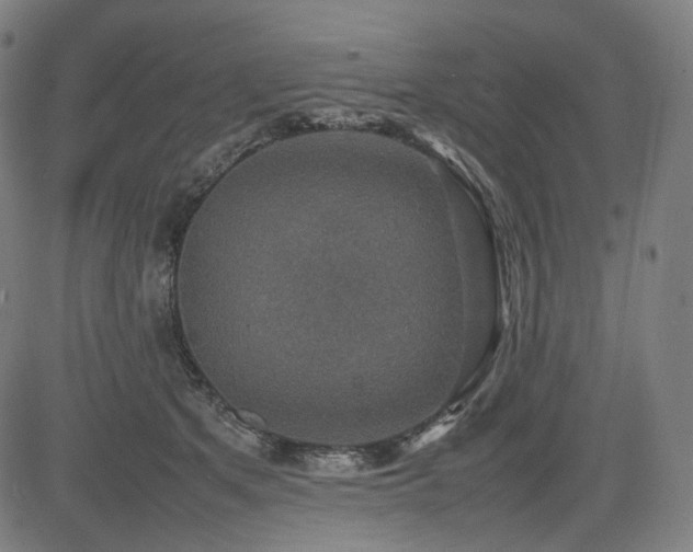 X0000085270513200703091355