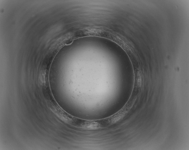 X0000085270514200703091355