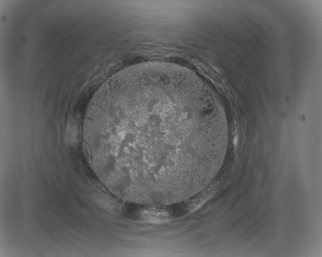 X0000085270515200703091355