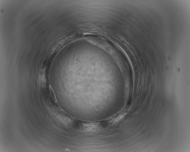 X0000085270516200703091355