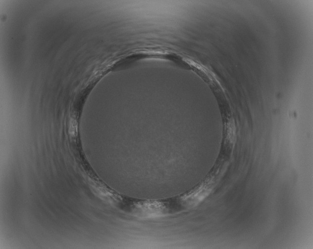 X0000085270517200703091355