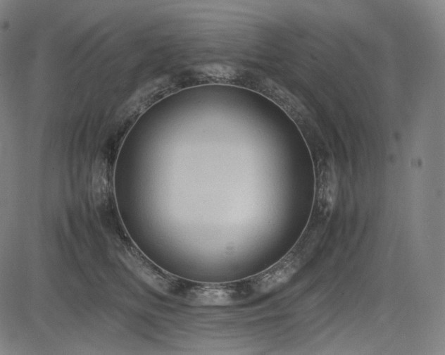 X0000085270518200703091355