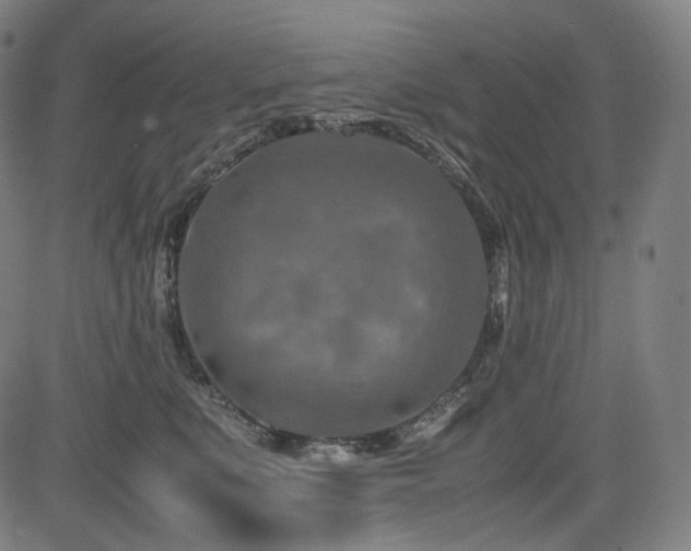 X0000085270519200703091355