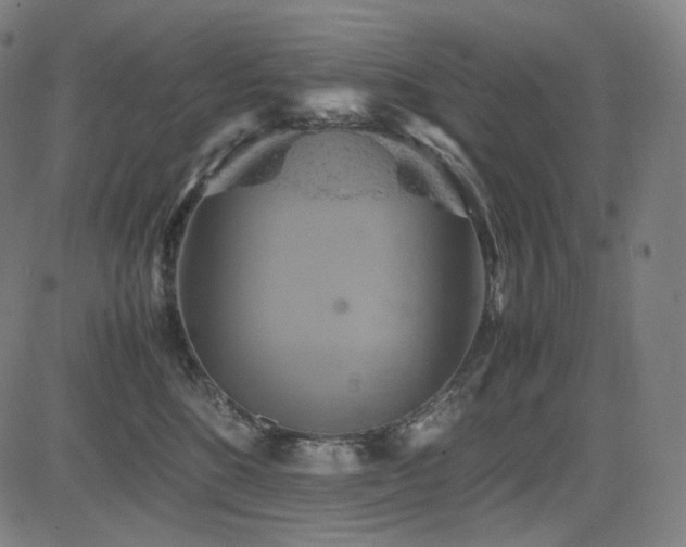 X0000085270520200703091355