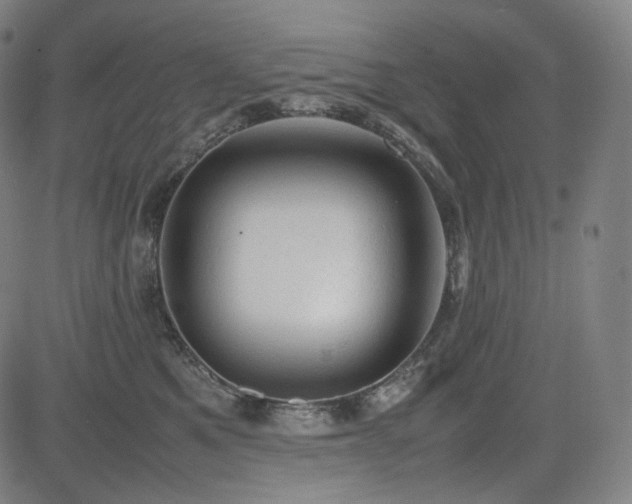 X0000085270521200703091355