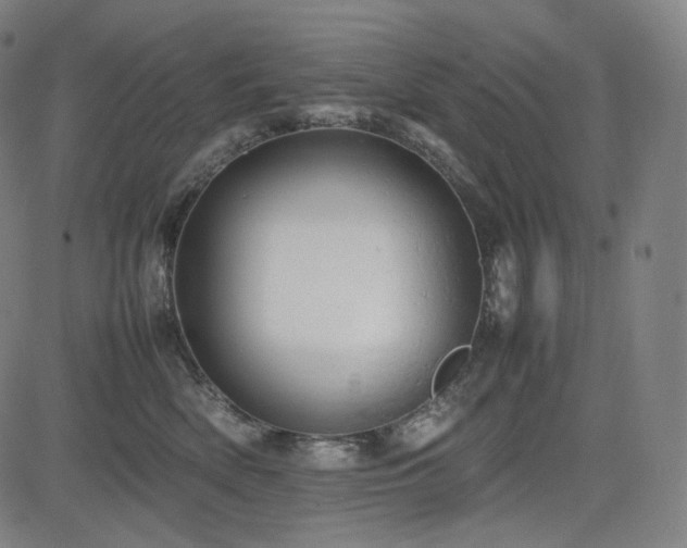 X0000085270522200703091355