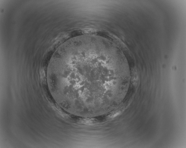 X0000085270523200703091355