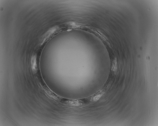 X0000085270524200703091355