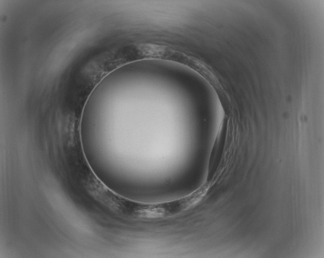 X0000085270525200703091355