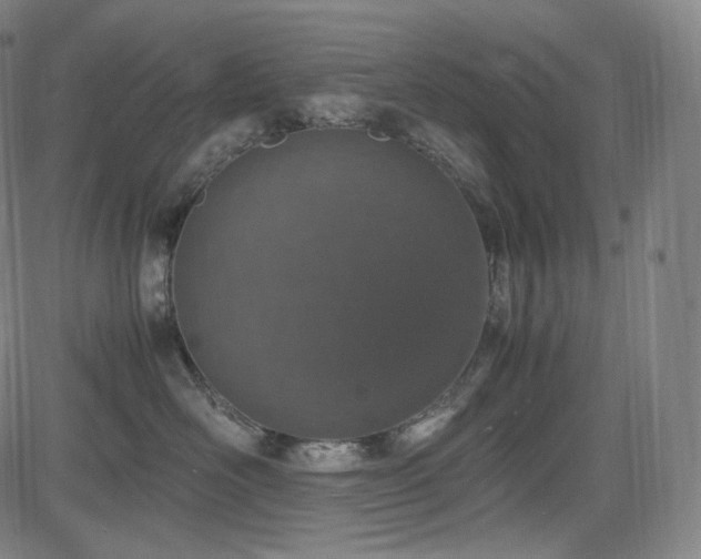 X0000085270526200703091355