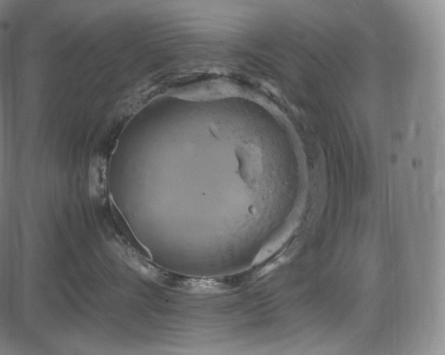 X0000085270528200703091355