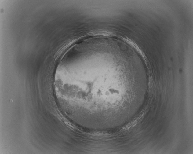 X0000085270529200703091354