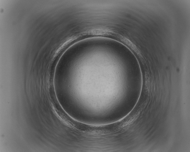 X0000085270530200703091354