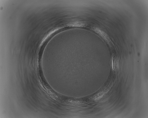 X0000085270531200703091354