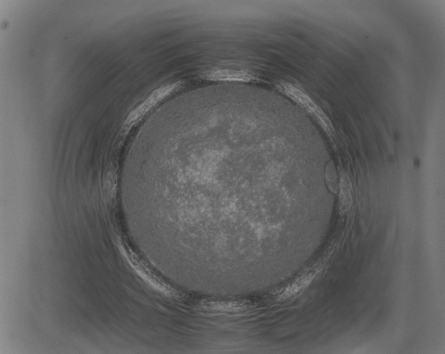 X0000085270533200703091354